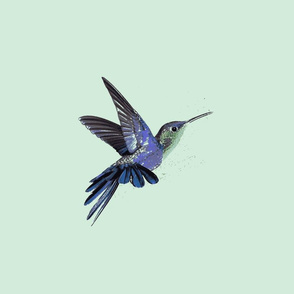 Purple Hummingbird on Green-ed