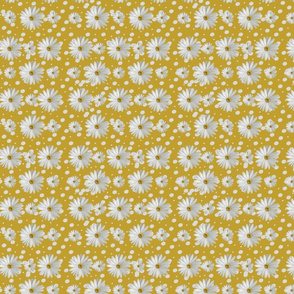 Summer Daisy Golden Background