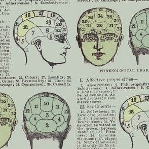 Phrenological chart 