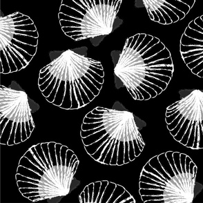 LARGE Shells - black and white