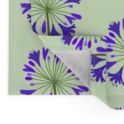 Summer Agapanthus Blooms - Sapphire Indigo on Jade Green, large 