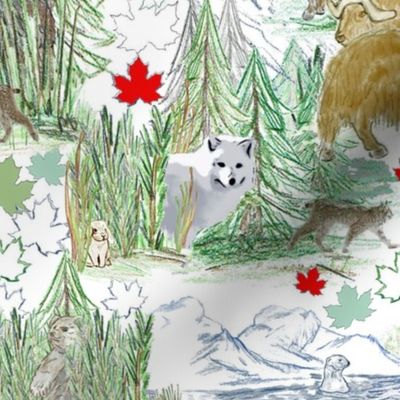 Canadian Wildlife Challenge 