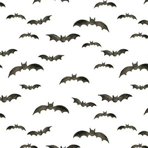 Bats on white