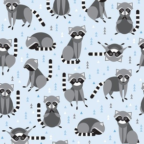 raccoons on blue