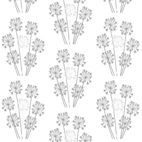 Majestic Agapanthus Sprays - greyscale on white, large 