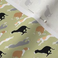 Dashing Whippets small repeat - khaki 