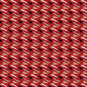 Dashing Whippets small repeat - red