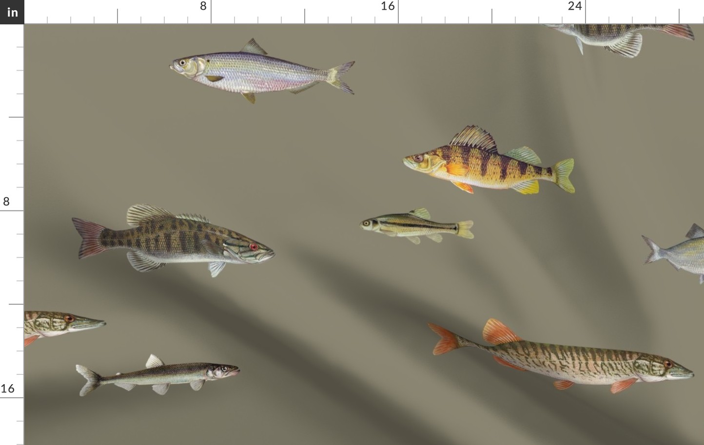 Life sized freshwater aquarium (panel shifted 48")