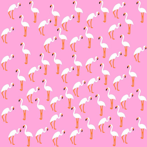 Cute Flamingo Print on Pink Background