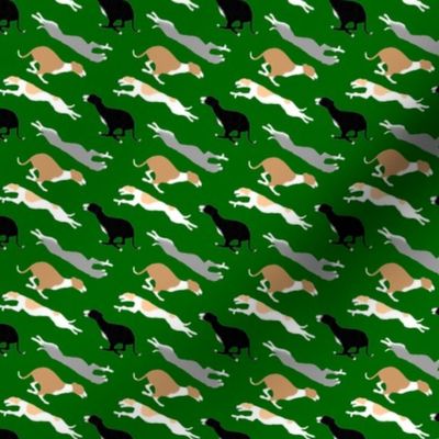 Dashing Whippets small repeat - green