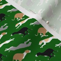 Dashing Whippets small repeat - green