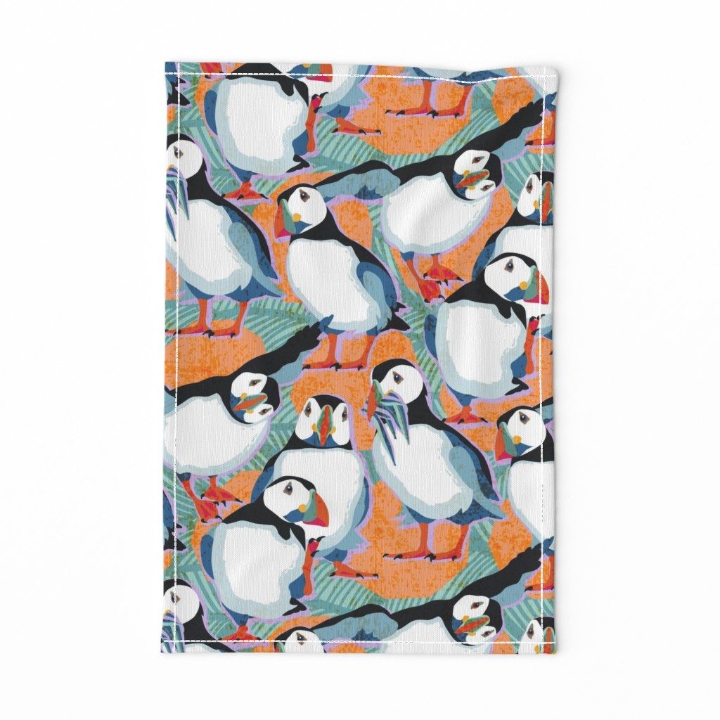 Atlantic Puffins / Large scale