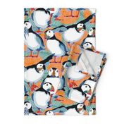 Atlantic Puffins / Large scale