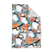 Atlantic Puffins / Large scale