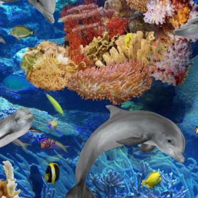 Dolphins Swimming Around Tropical Coral Reef