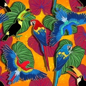 Birds of Paradise