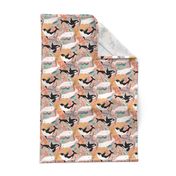 Canadian Whale Watching on Coral Pink - Small