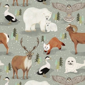 Snowy animals