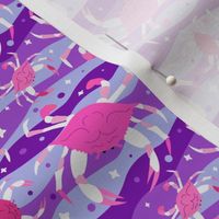 Technicolor Wandering Crabs to Eaten - Pink & Purple