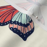 Bold_Butterfly