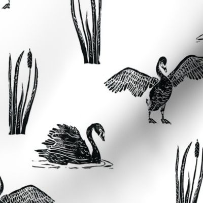 Diagonal Black Swans - block print