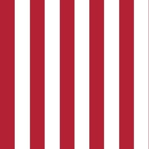 Americana American Flag Red Stripes