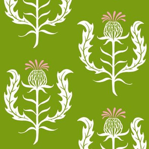 thistle - olive green