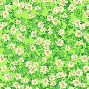 clover field