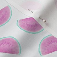 Watercolor Watermelons Tropical Summer Fruit Pattern in Pink and Teal