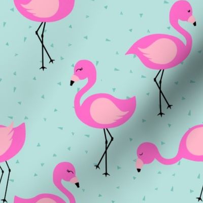 Flamingos