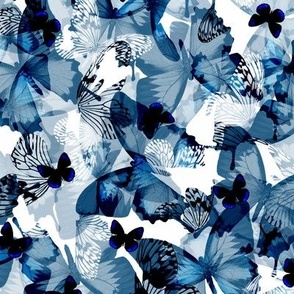 Butterflies Blue - small