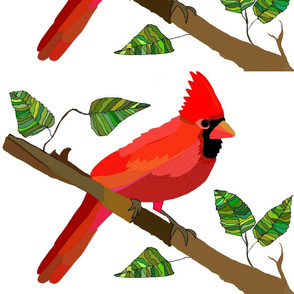 Cardinal on  Branch