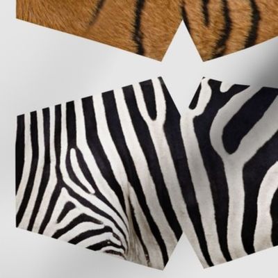 Spotted and Striped Animal Coats Face Masks