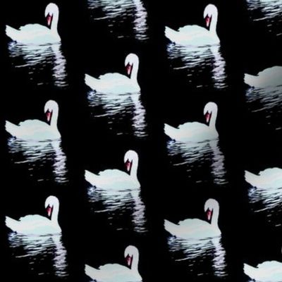 Painted swans print