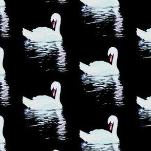 Painted swans print