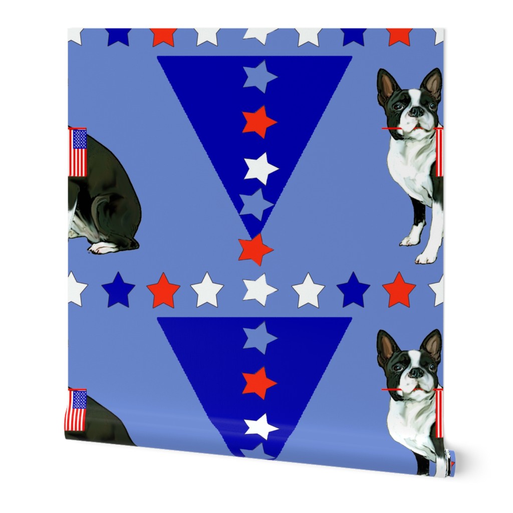 Boston terrier and stars