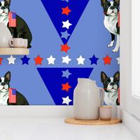 Boston terrier and stars