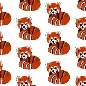 Red panda print