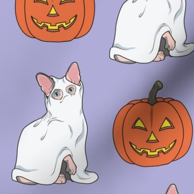 Sphynx Ghost Cat Lavender Large