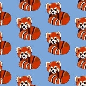 Red panda print on blue