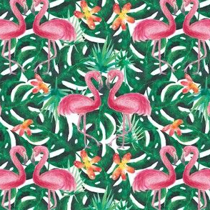 Flamboyant flamingos