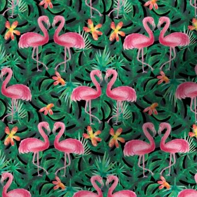 Flamboyant flamingos black