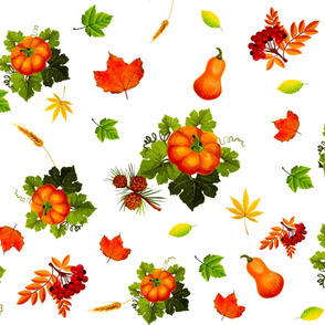Autumn,pumpkin,pine ,red berry,leaf pattern