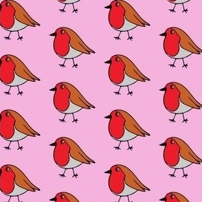 Robin print on pink