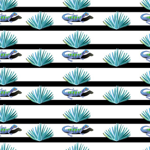 Tequila Pattern