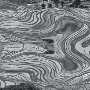 Terraced Rice Paddy Fields- Landscape- Gray