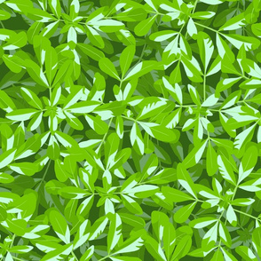 Mock Orange Leaves