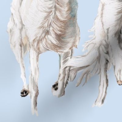 Two Borzoi Running