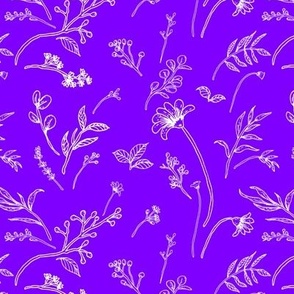 Fiona - Purple