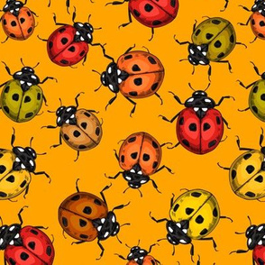 Colorful ladybugs on orange